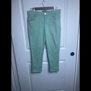 Democracy Mint Ab-Solution Stretch Skimmer Jeans SZ-10